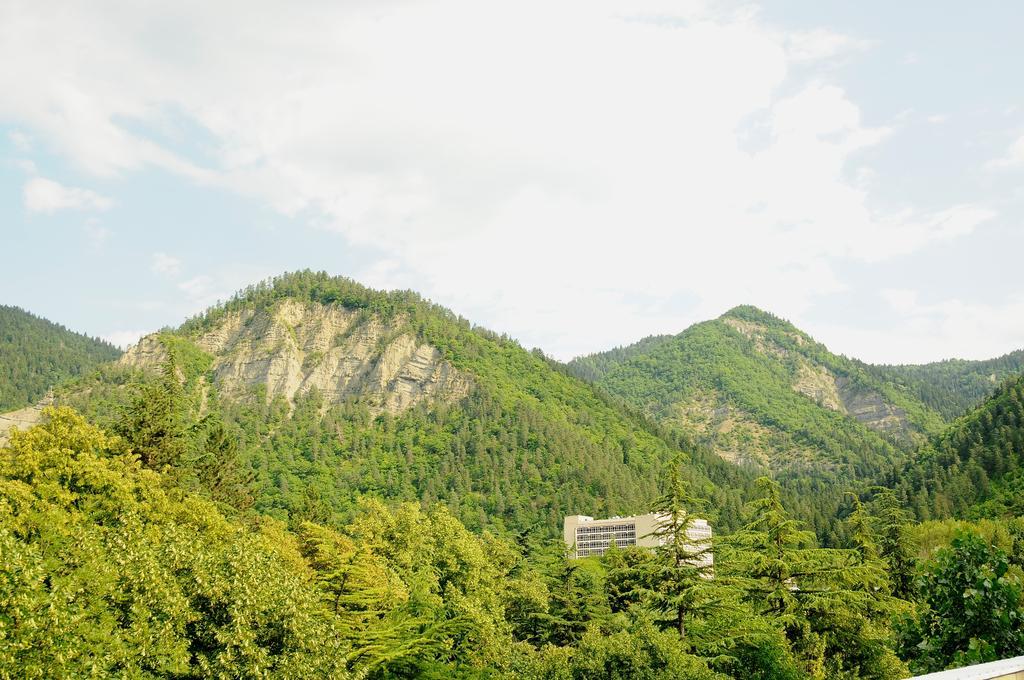 Alma-Ata Hotel Bordžomi Exteriér fotografie